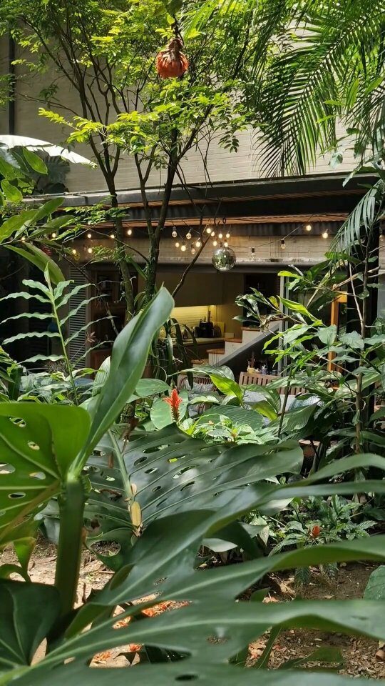 Instagram post from mixtawebhouse. This post is in position 4.