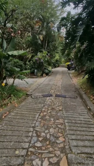 Instagram post from mixtawebhouse. This post is in position 10.
