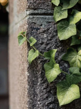 Instagram post from mixtawebhouse. This post is in position 6.