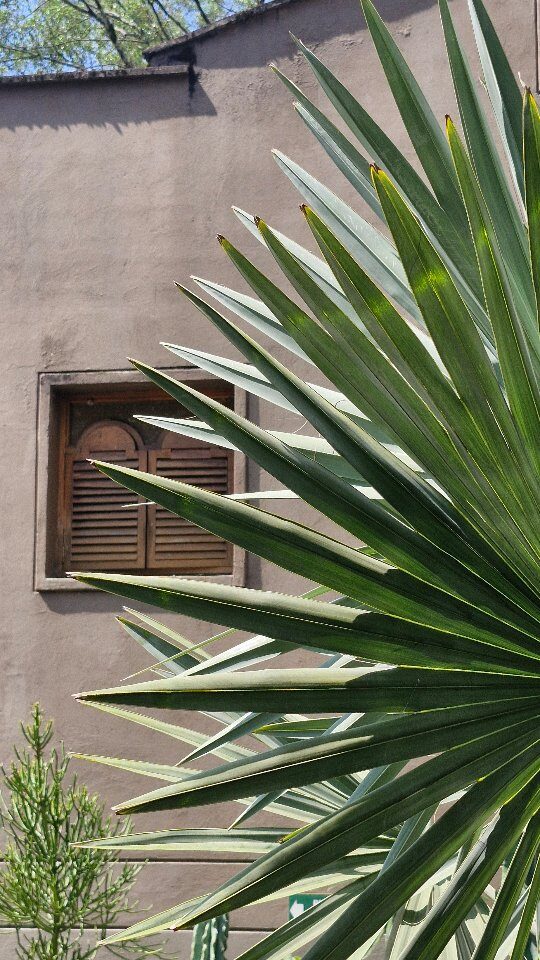 Instagram post from mixtawebhouse. This post is in position 6.